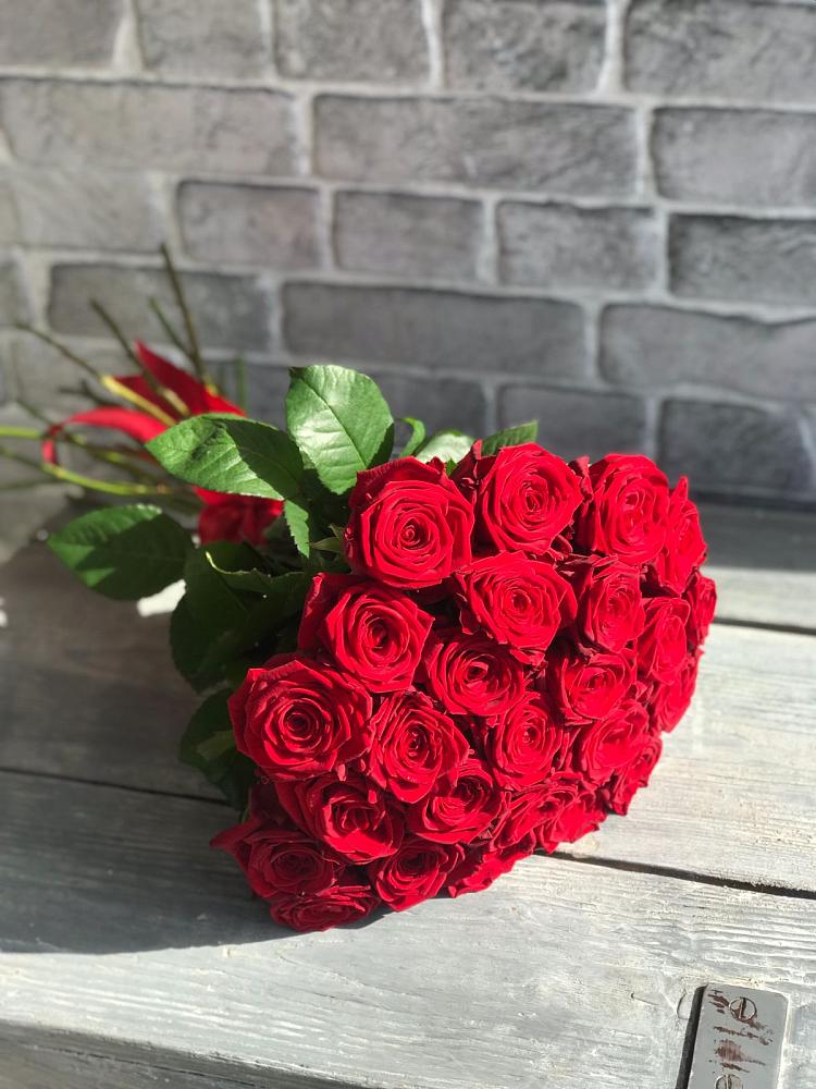 Букет Красные розы Фридом в Грайвороне