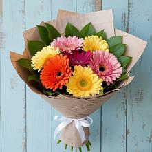 Букет цветов из:  Герберы в Грайвороне