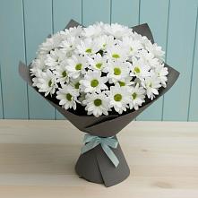 Букет цветов из:  Хризантемы #REPLACE_PRED# Грайвороне