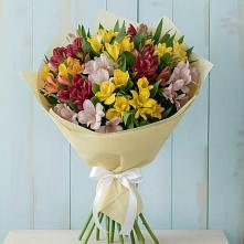 Букет цветов из:  Альстромерии в Грайвороне